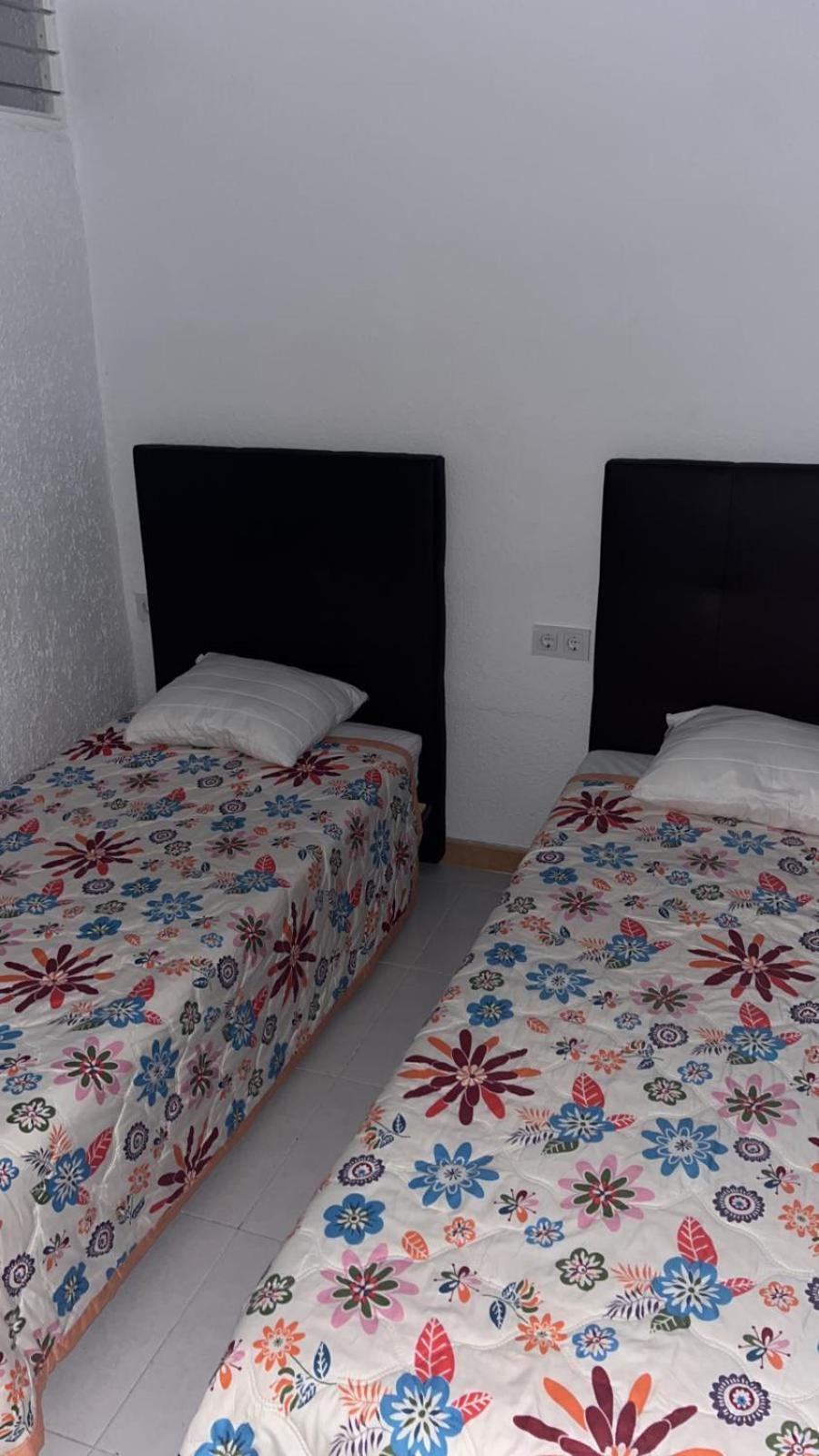 Apartamentos Tierra De Irta 3000 Peñíscola Eksteriør bilde